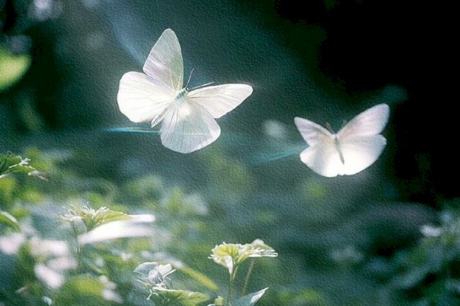 What Feminism TRULY Stands For