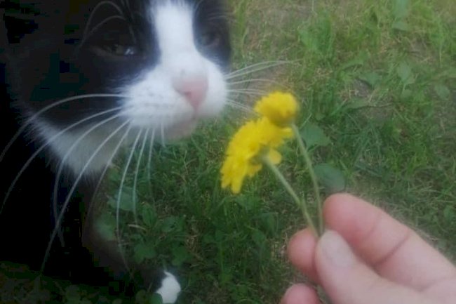 Flaws That Aren't Flaws To Me