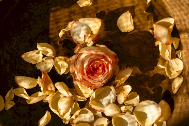 The extent of impact it left on you is realised only later