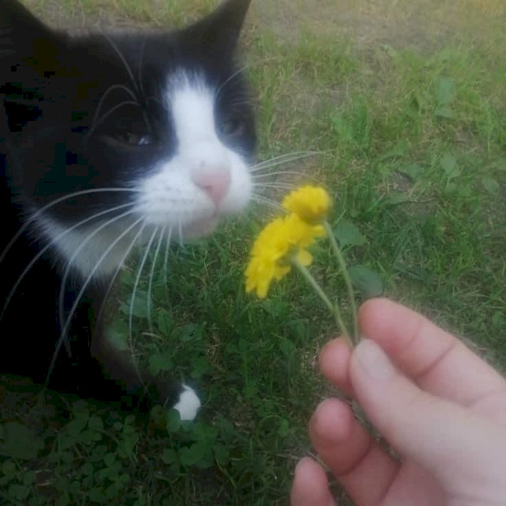 Flaws That Aren't Flaws To Me